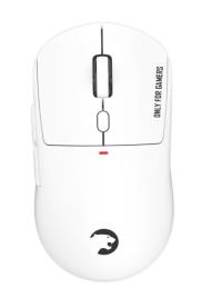 GAMEPOWER FENIX GAMING RGB 24.000DPI Triple Mode (Kablolu/Bluetooth/2.4G) Beyaz Gaming Mouse